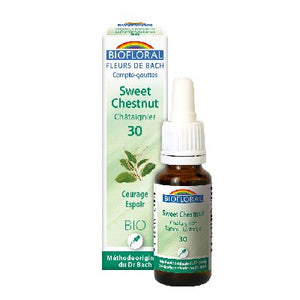 Ef Chataignier 20 Ml