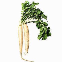 Radis Blanc Daikon De France Par 250g